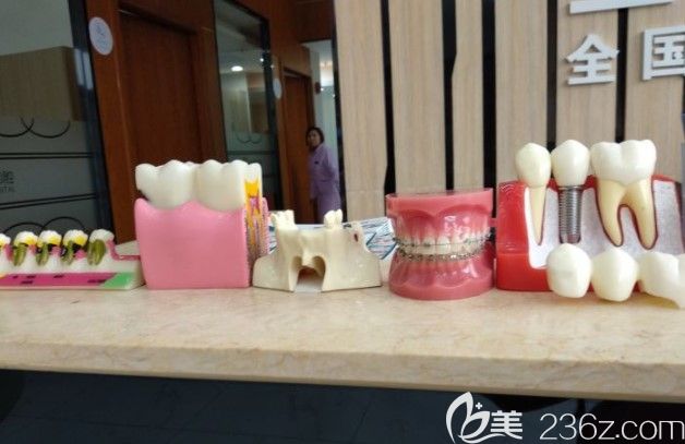 上海圣康口腔正畸及种植牙牙模